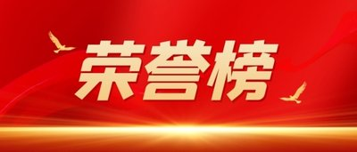 南岸區(qū)人大代表貢獻(xiàn)榜單發(fā)布  集團(tuán)董事、總經(jīng)理黃怡霖上榜